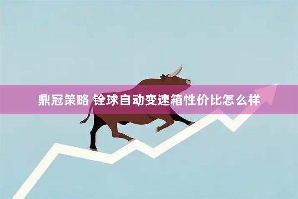 鼎冠策略 铨球自动变速箱性价比怎么样